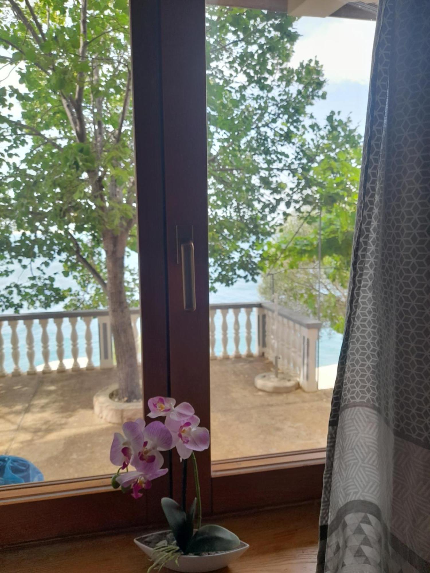 Apartmani Antea 斯塔利格拉德-帕克利尼卡 客房 照片